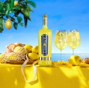 Aperitivo LIMONCÉ 14,8º 70cl