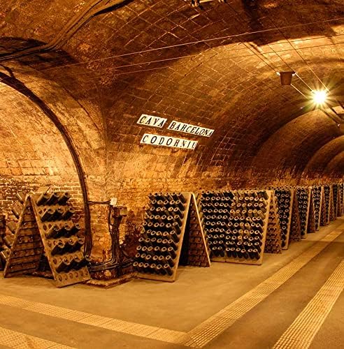 Cava CODORNIU REINA MARIA CRISTINA BLANC DE NOIRS 75cl